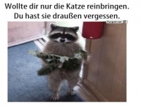 Ich bring die Katze rein