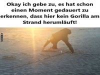Ist das ein Gorilla am Strand?