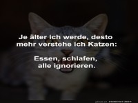Katzenweisheiten f�rs Leben