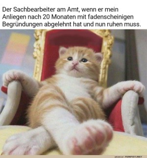 B�rokrat-auf-Katzenpause.jpg auf www.funpot.net