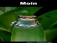 Fr�sche vor dem ersten Kaffee