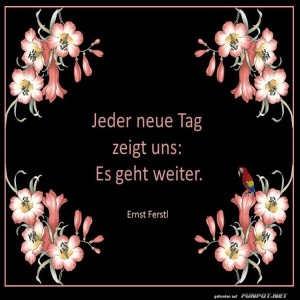 Jeder-neue-Tag.jpg von Sirene
