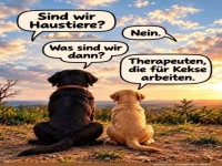 Wenn Hunde Karriere machen: Keks-Coaches!