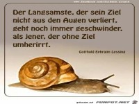 Der Langsamste, der...