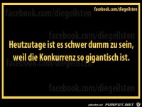 diegeilsten dumm