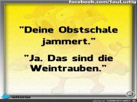  Deine Obstschale jammert