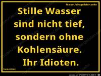 diegeilsten stille Wasser