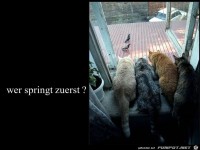 wer springt zuerst?