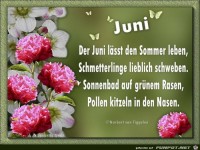 Juni, der Sommer beginnt