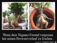 Browserverlauf nicht gel�scht