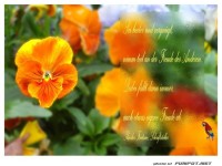 Sei heiter und vergnuegt 1