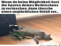 Super vorget�uscht