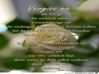 Vergiss nie