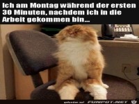 Ich am Montag bei der Arbeit