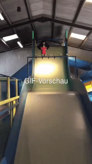 Witziges Video Zwei Lustige Katzen - FUNPOT