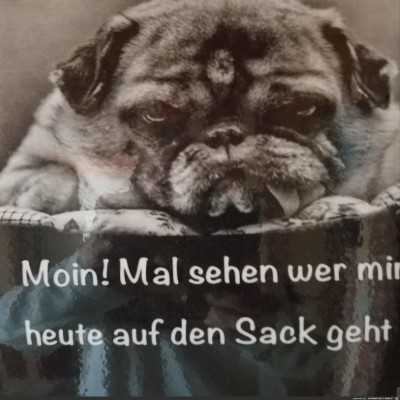 Tolles-Tuerschild.jpg von Keule56