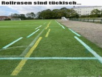Rollrasen