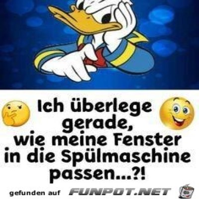 Ich-überlege-gerade,-wie-meine-Fenster-in-die-Spülmaschine...jpg von Sia