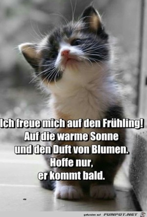 Freude-auf-Fr�hling.jpg auf www.funpot.net