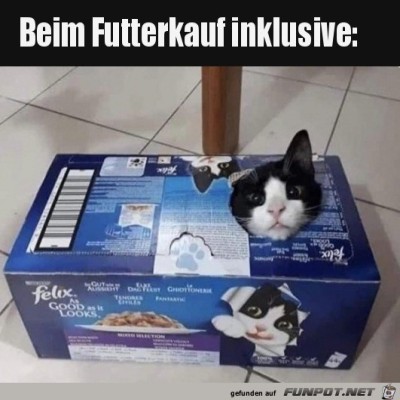 Die-Katze-gibt-es-dazu.jpg von Runa