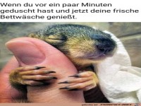 Frische Bettwsche ist toll