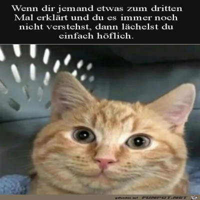 H&ouml;flich-l&auml;cheln.jpg von Tilo