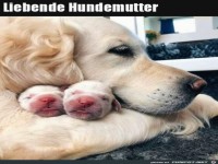 Liebende Hundemutter