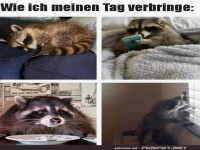 Wie ich meinen Tag verbringe