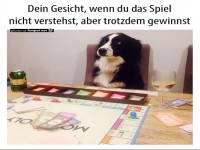 Hund gewinnt unerwartet beim Brettspiel