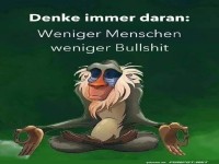 Affen-Gedanke für mehr Ruhe und Gelassenheit