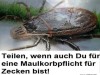 weiter