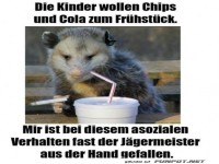 Fast-Food-Opossum in Aktion!