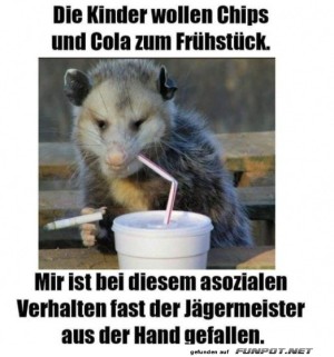 Fast-Food-Opossum-in-Aktion!.jpg auf www.funpot.net