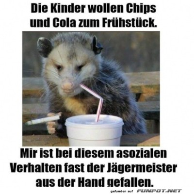 Fast-Food-Opossum-in-Aktion!.jpg von Deniz