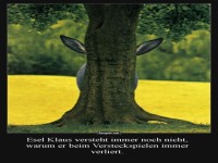 Wenn Verstecken für Esel zur Herausforderung wird