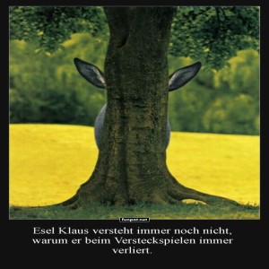 fun-Bild: Wenn Verstecken für Esel zur Herausforderung wird
