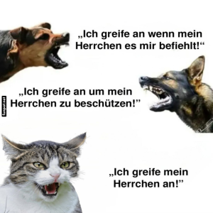 Wenn-Haustiere-die-F�hrung-�bernehmen.png von Caroline