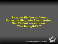 Sitzt ein Elefant auf dem Baum