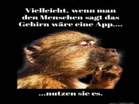 Affen-App-Idee