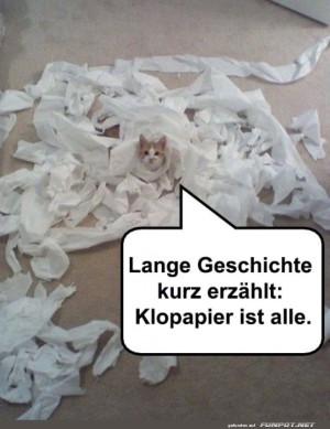 Katzenchaos-im-Klopapierland.jpg auf www.funpot.net