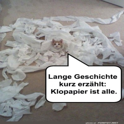 Katzenchaos-im-Klopapierland.jpg von Josie-96