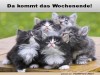 weiter