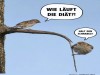 weiter
