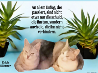 an allem Unfug