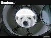 weiter