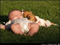 Babysitter