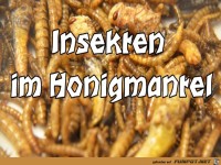 Insekten