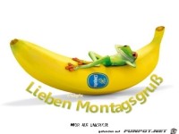 lieben Montagsgruss