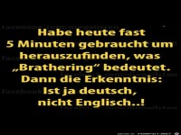 Brathering