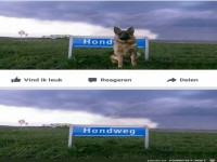 Hund weg